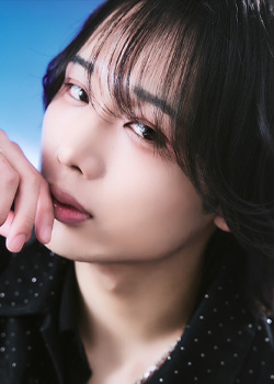せな プロフィール