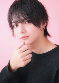 れんれん Amazon｜のれん受け フックタイプ 木製 【のれん掛け】【日本製