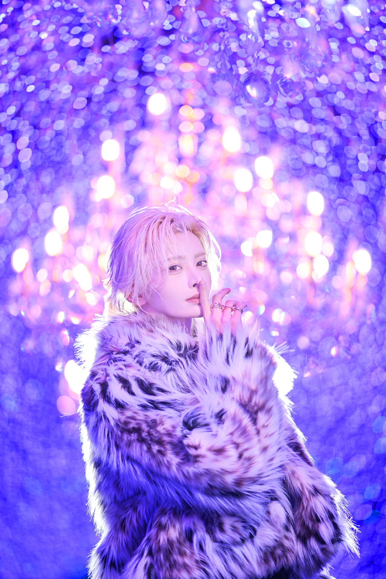 YGGDRASILL／櫻井瑛紫（歌舞伎町）