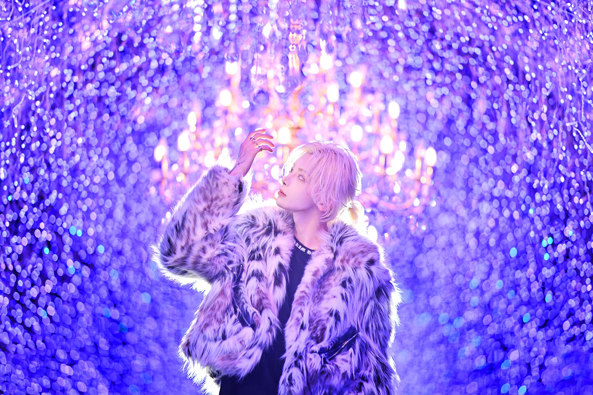 YGGDRASILL／櫻井瑛紫（歌舞伎町）