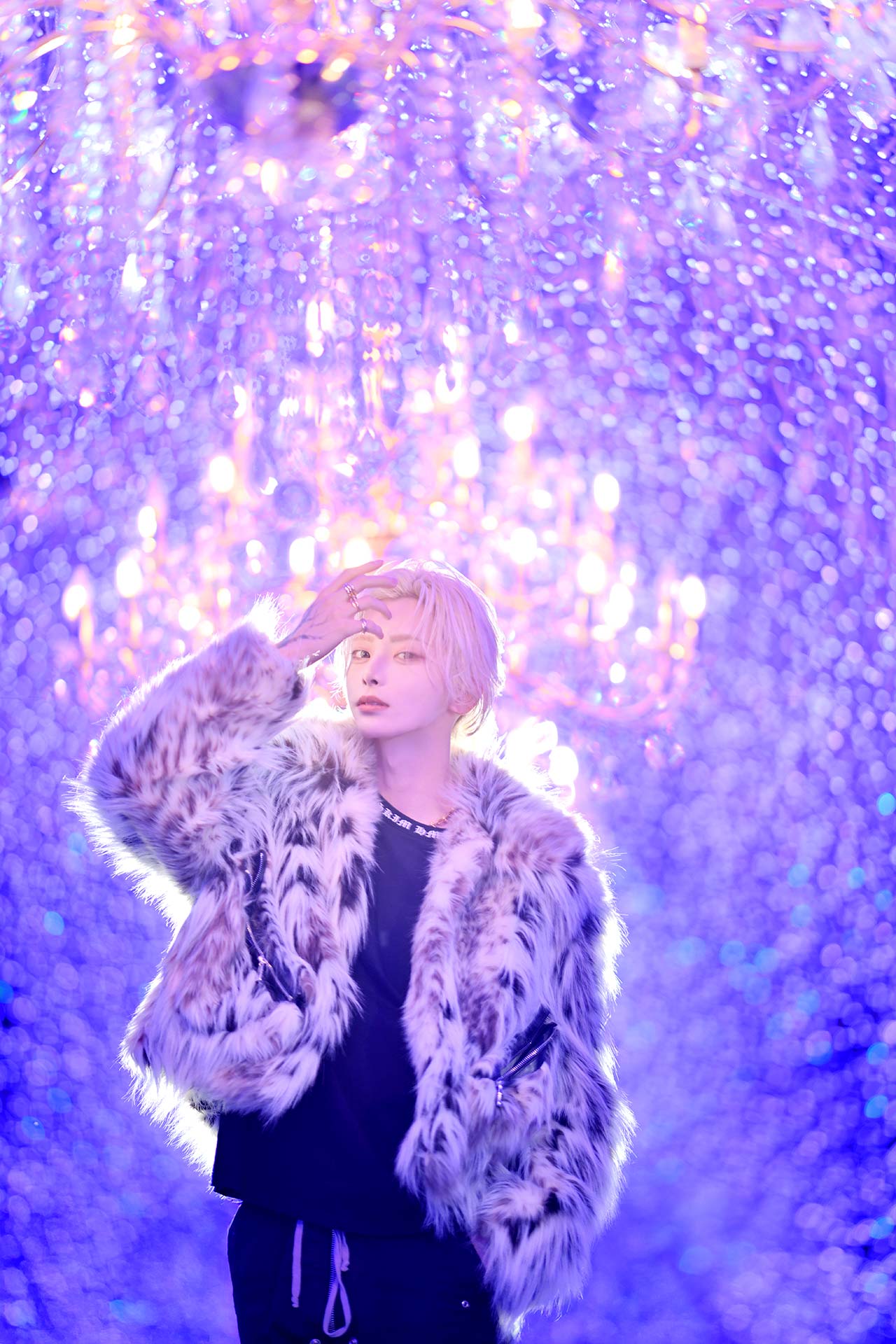 YGGDRASILL／櫻井瑛紫（歌舞伎町）