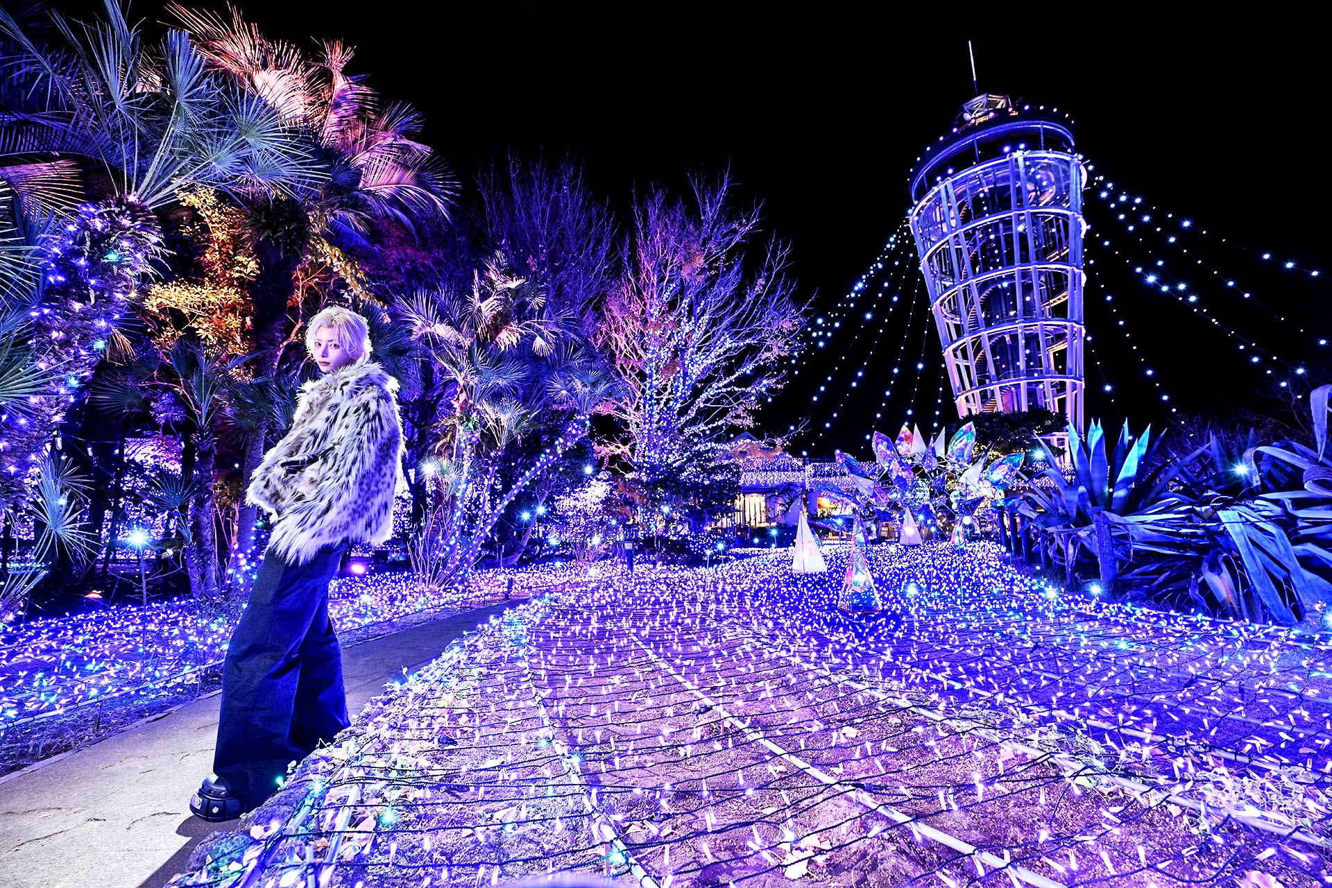 YGGDRASILL／櫻井瑛紫（歌舞伎町）