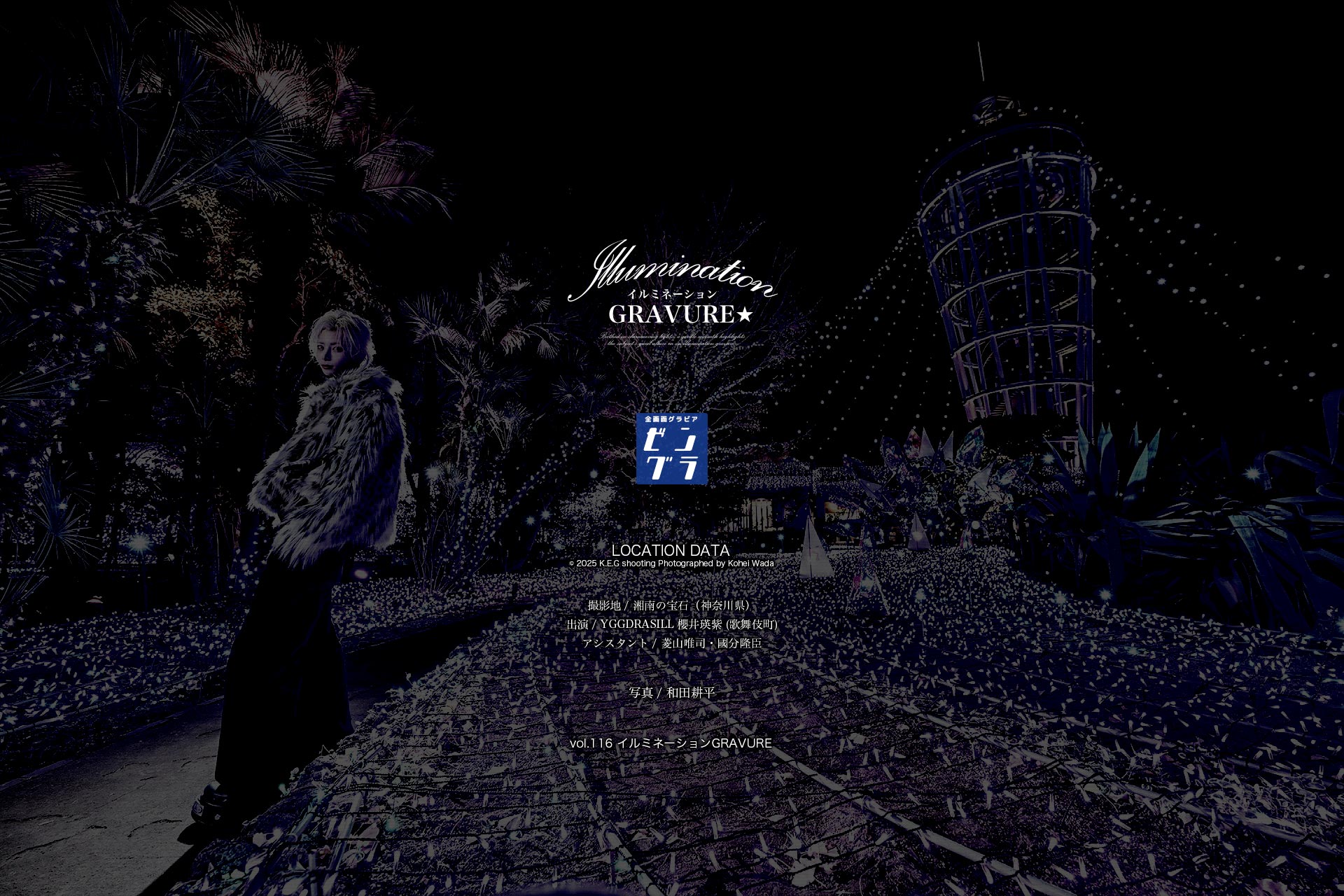 YGGDRASILL／櫻井瑛紫（歌舞伎町）