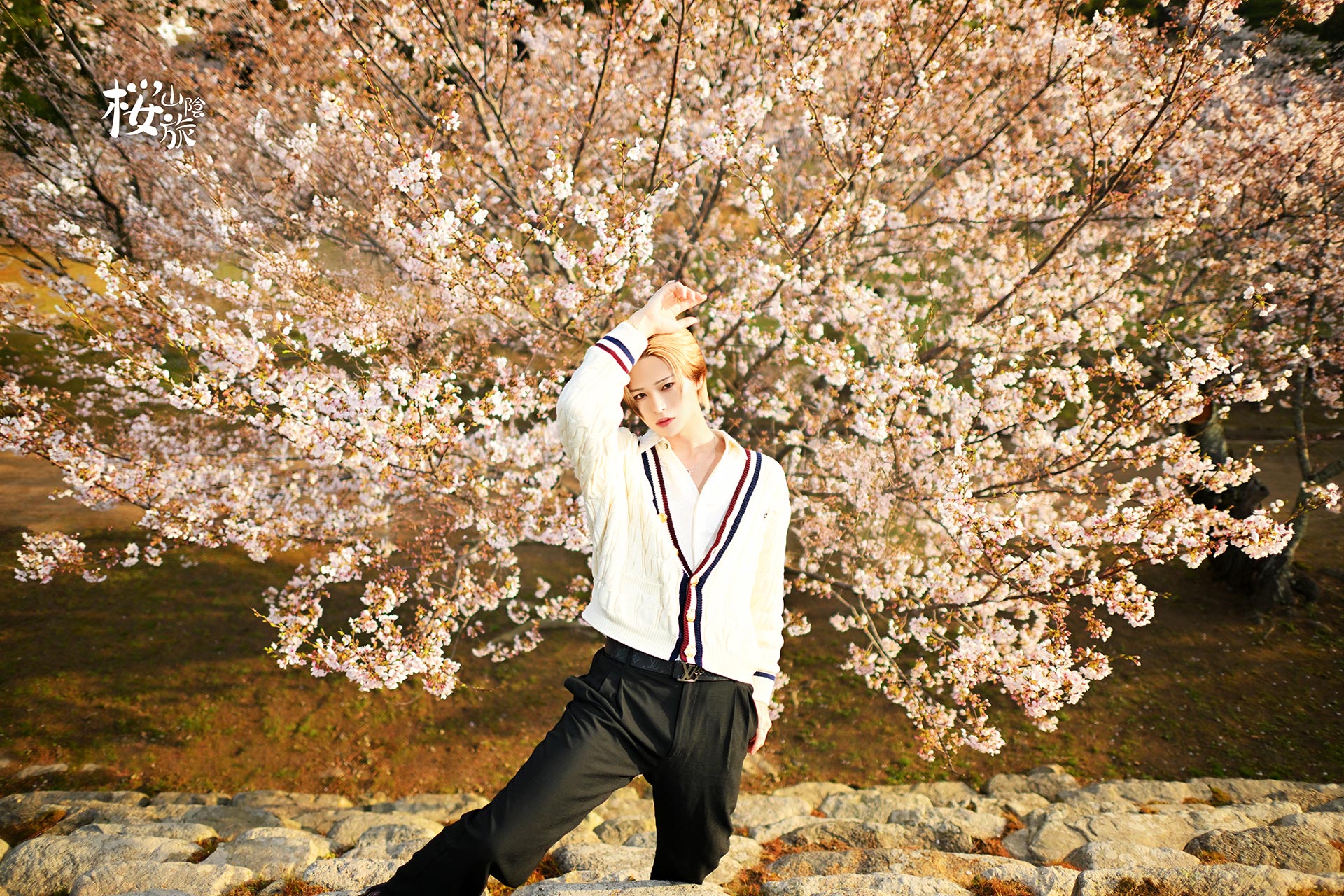 Leo 美月が満開の桜を背に石段でポーズを決める春のポートレート写真