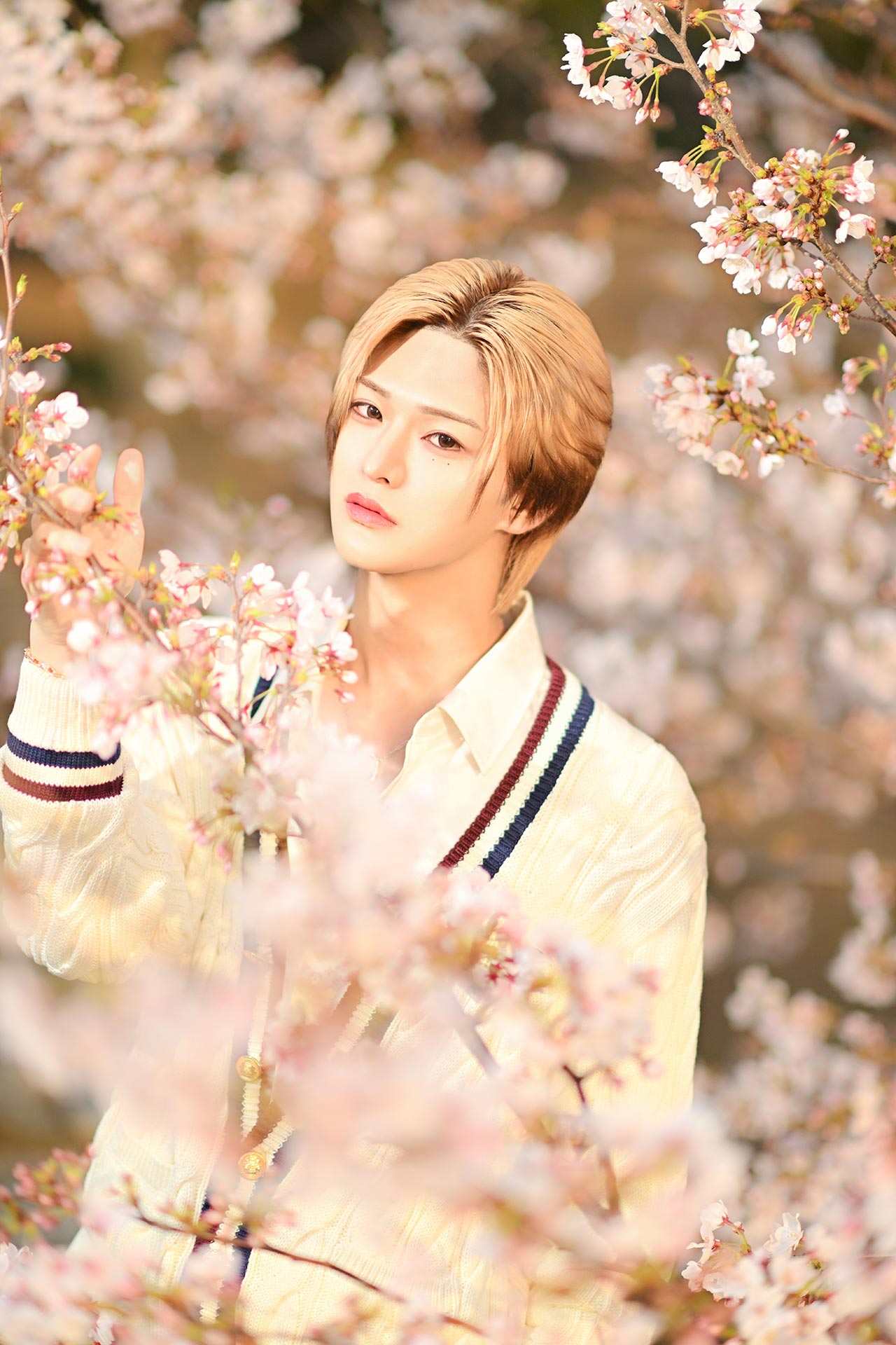 Leo 美月が桜に囲まれながら花を見つめるクローズアップ写真