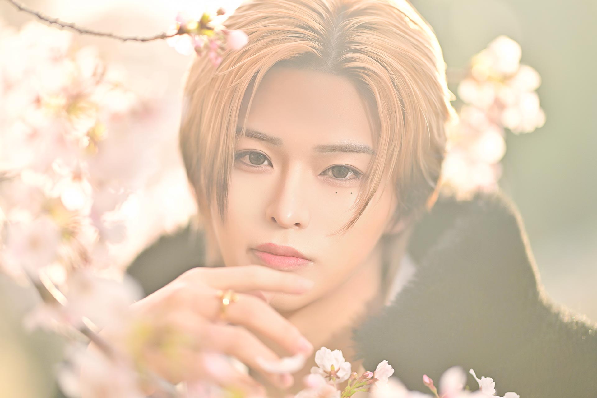 Leo 美月が桜越しにこちらを見つめる接写ポートレート