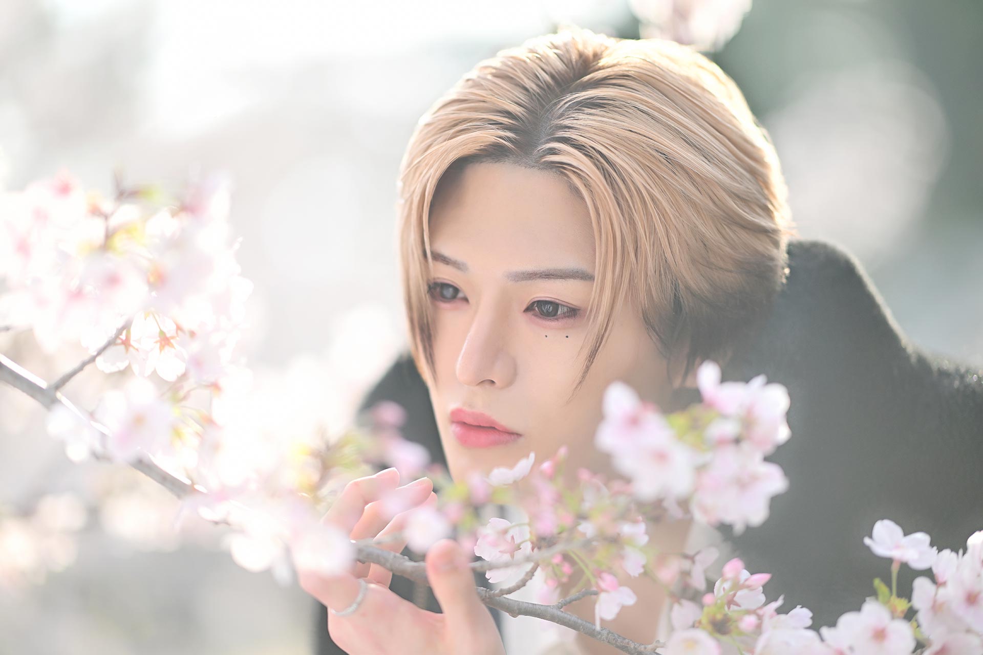 Leo 美月が桜の花びらに手を添えながら見つめるアップ写真