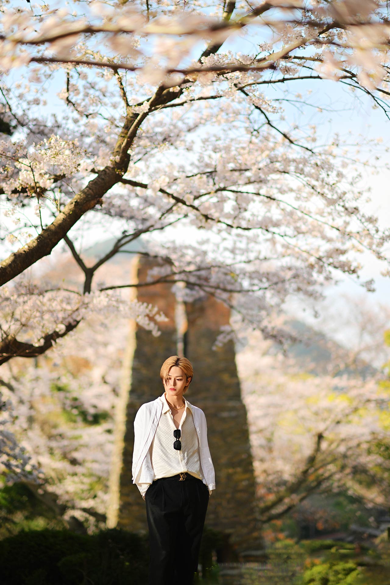 Leo 美月が桜に囲まれた風景の中を歩く全身ショット