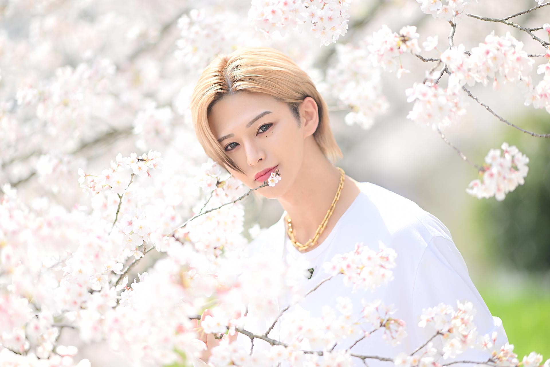 Leo 美月が満開の桜越しに微笑むナチュラルポートレート