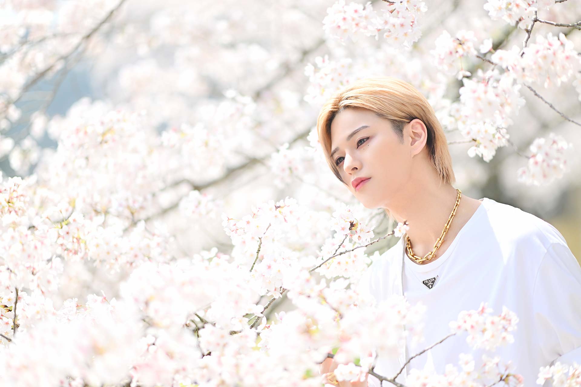 Leo 美月が満開の桜を見つめながら微笑むアップポートレート