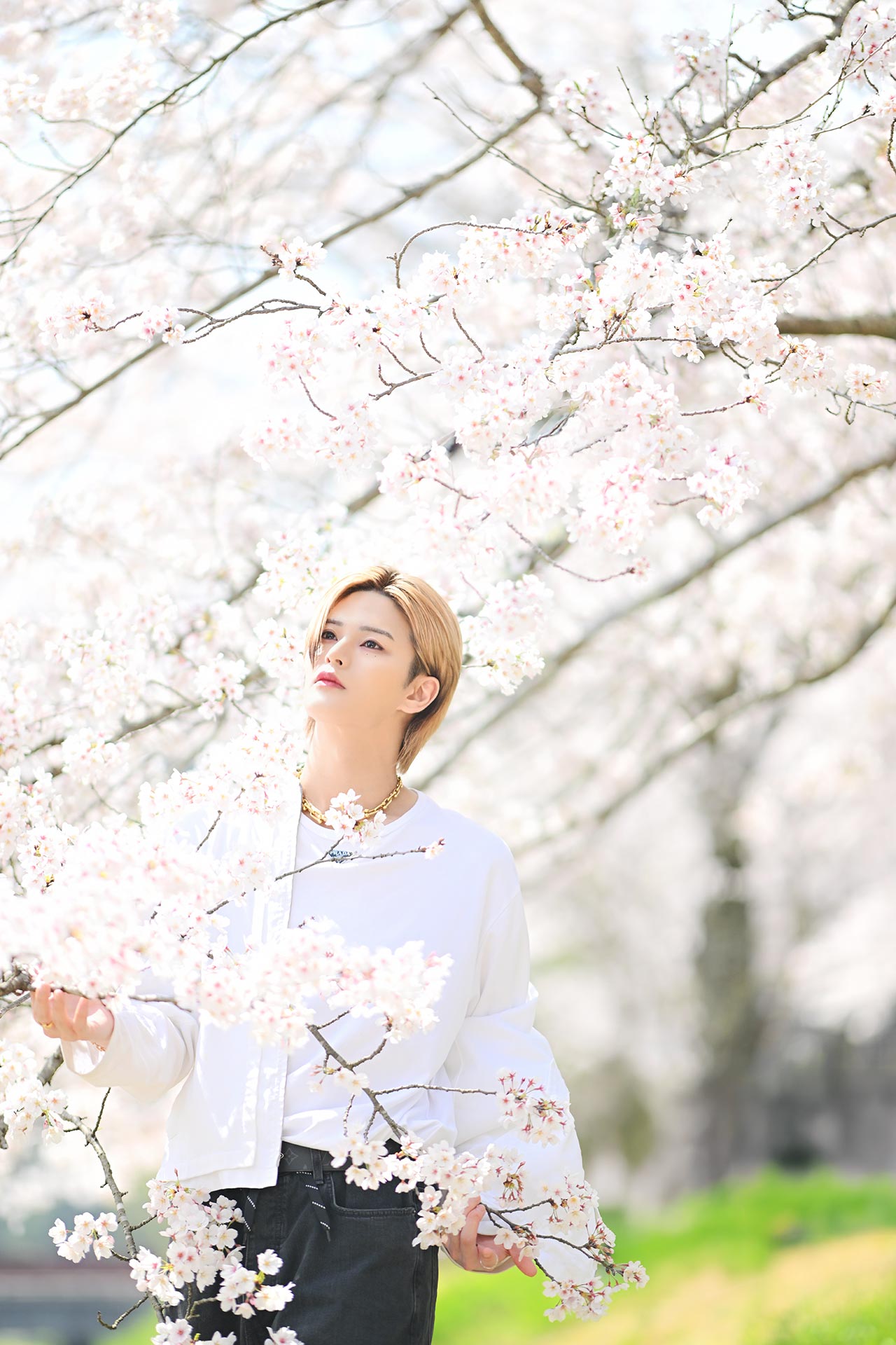 Leo 美月が桜の枝に触れながら上を見上げる春のロケーションフォト